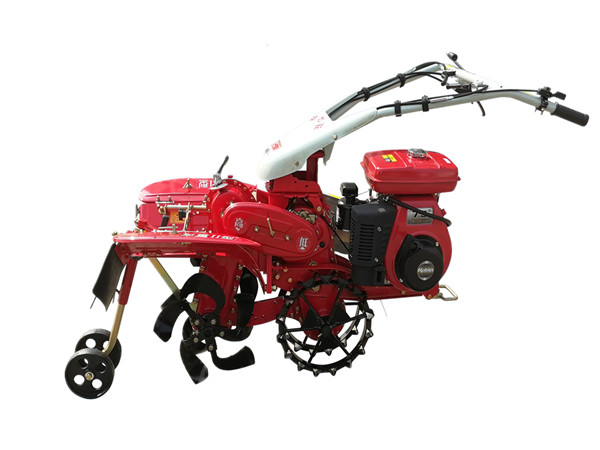 3TG-4QB�p�x����